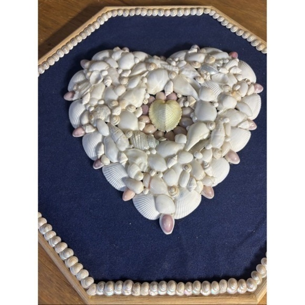 Vintage Handcrafted 3D Sea Shell Heart Wall Art Decor Navy Backing MCM 12" GIFT - Picture 9 of 13